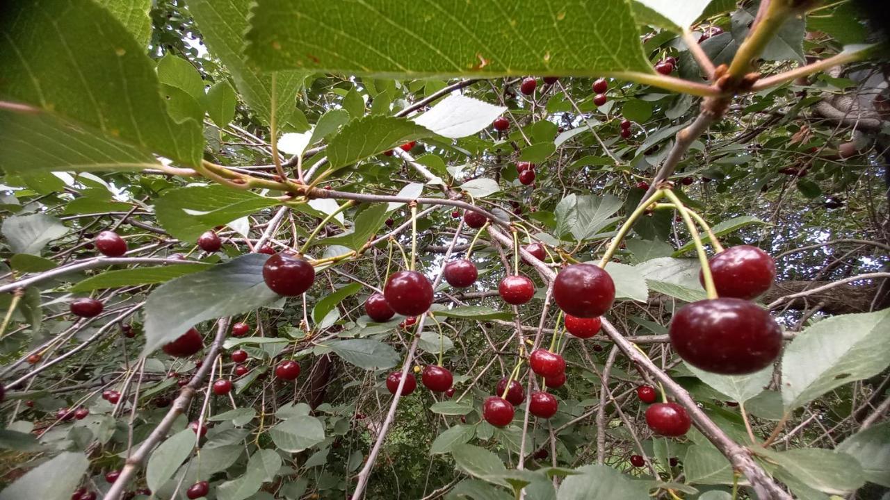 Appartamento Baleni Sisian Esterno foto