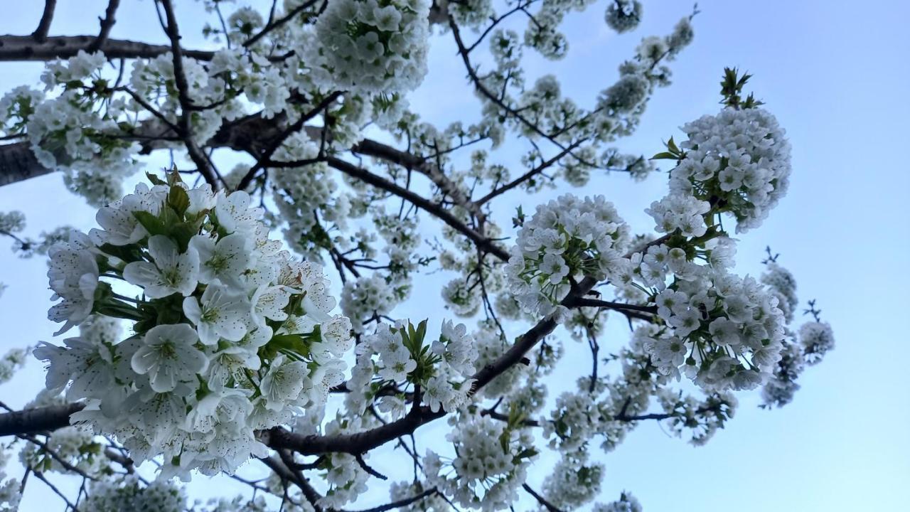 Appartamento Baleni Sisian Esterno foto